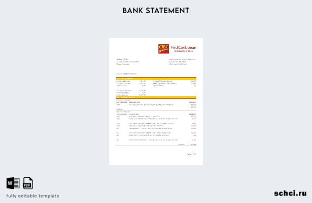 скачать цифровую версию Доминики Шаблон Excel банковской выписки CIBC First Cari